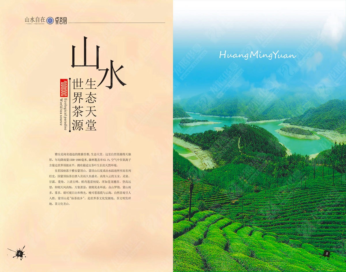 蒙頂山皇茗園茶業(yè)宣傳畫冊設(shè)計