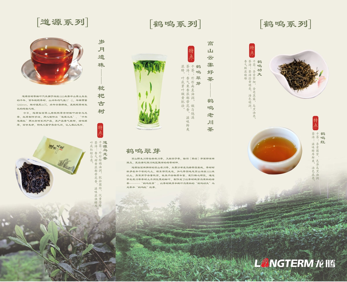 成都道源仙翁茶業(yè)有限公司產(chǎn)品宣傳畫冊(cè)設(shè)計(jì)_大邑縣茶葉折頁廣告物料設(shè)計(jì)公司